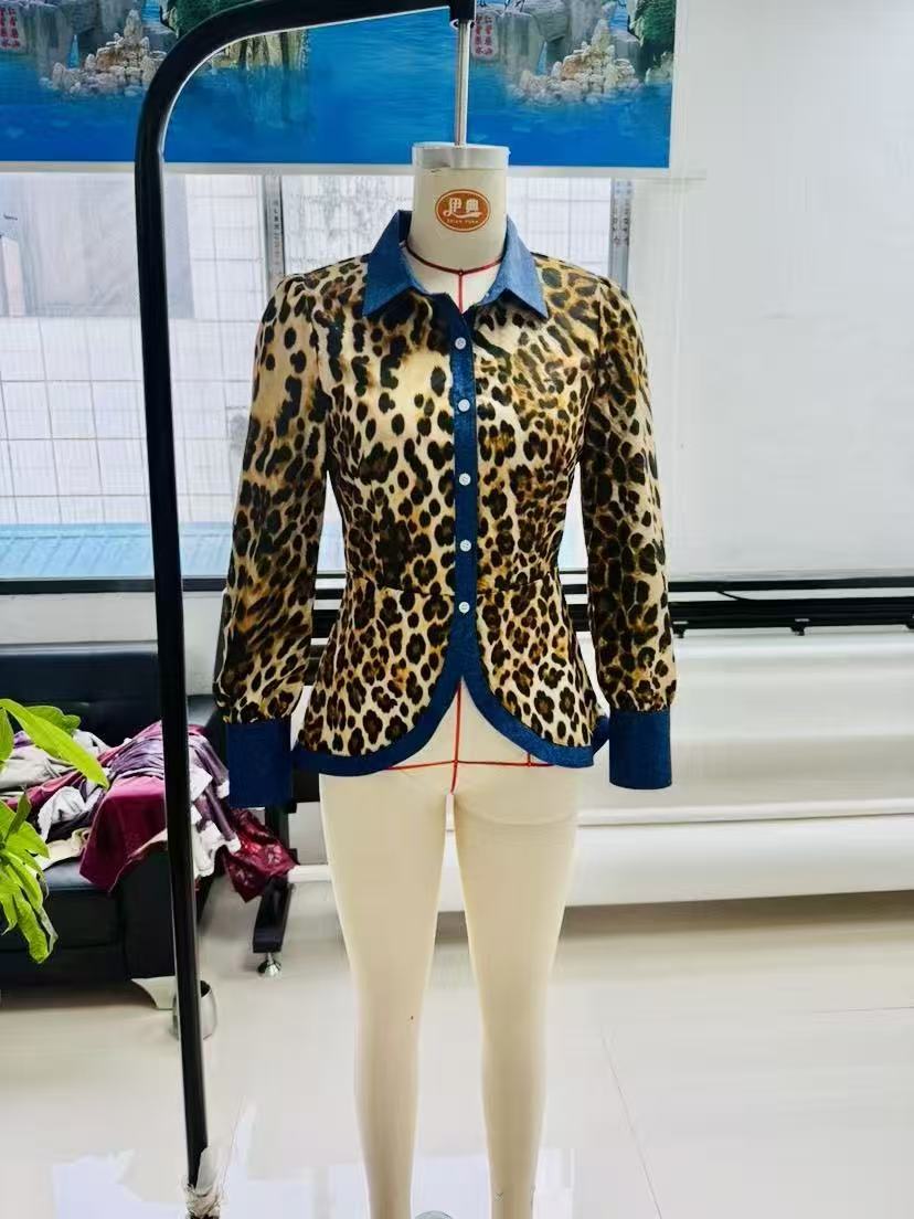 Leopard Print Casual Long Sleeve Blouse